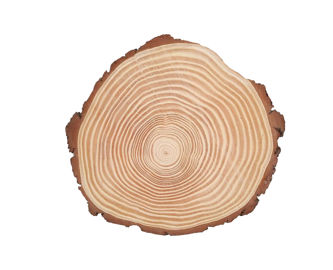 Livraison de bois en France